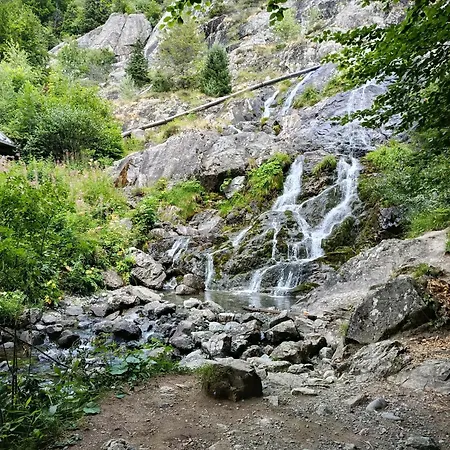 En Station De Familiale, Vue Sur Les Montagnes Lejlighed *